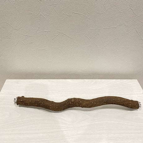 殿様パーチ（自然木ツタ）⑤ HOEI465サイズ 直径2.7cm