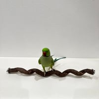 自然木（ツタ）うねうねパーチ③  HOEI465 直径約2.3cm/長さ44cm
