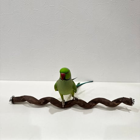 自然木（ツタ）うねうねパーチ③  HOEI465 直径約2.3cm/長さ44cm