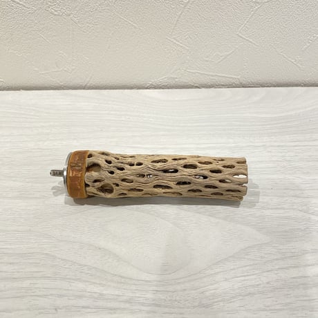カクタスパーチ① 極小直径2-3cm/10cm