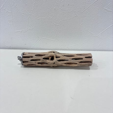 カクタスパーチ極小サイズ⑰ 直径約3cm/長さ15cm【自然木 止まり木 バンブルフット 趾瘤症 】