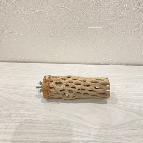 カクタスパーチ【14】  小 直径約4cm 長さ10cm