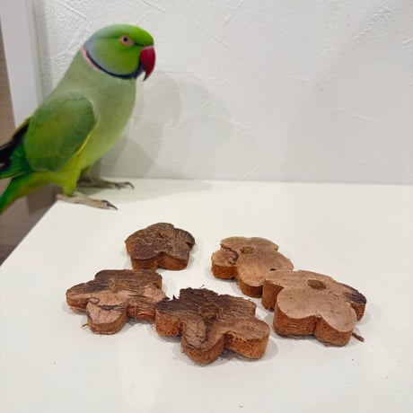 ガジガジココナッツ お花 5個セット【インコのおもちゃ】