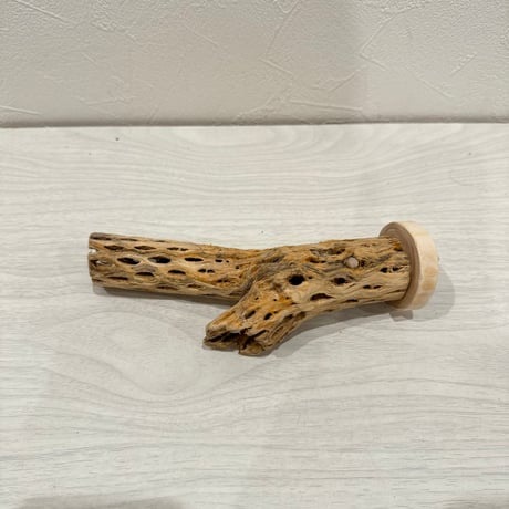 カクタスパーチ㉔　小3-4cm長さ16cm