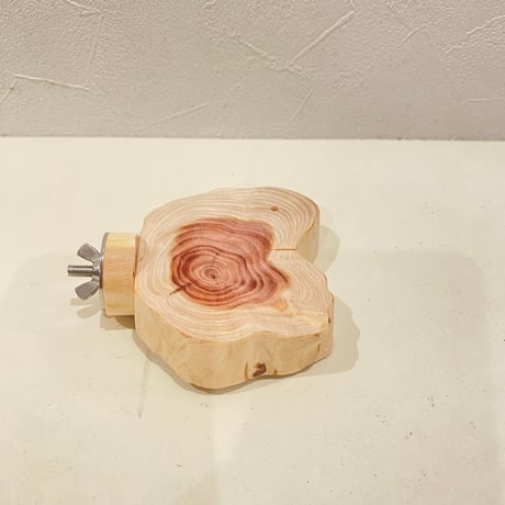 貝塚伊吹テーブルパーチ