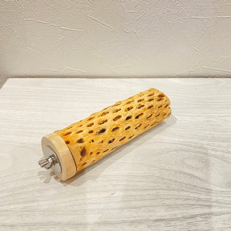 カクタスパーチ【15】直径3~4cm/長さ14cm