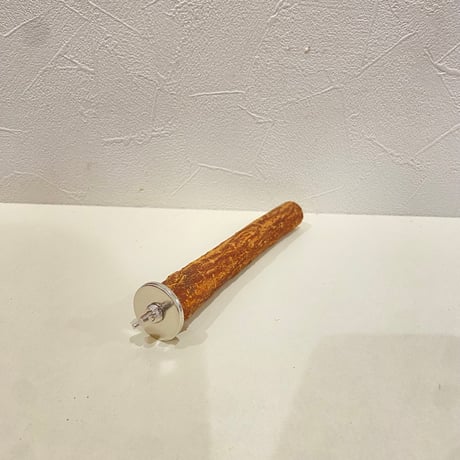 自然木（ツタ）パーチ 直径約2cm/長さ15cm