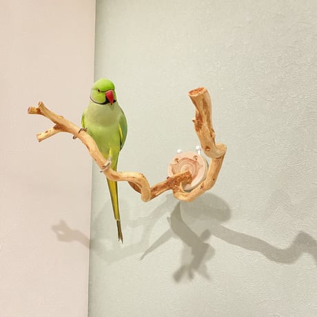 ピノキオの鼻 ④