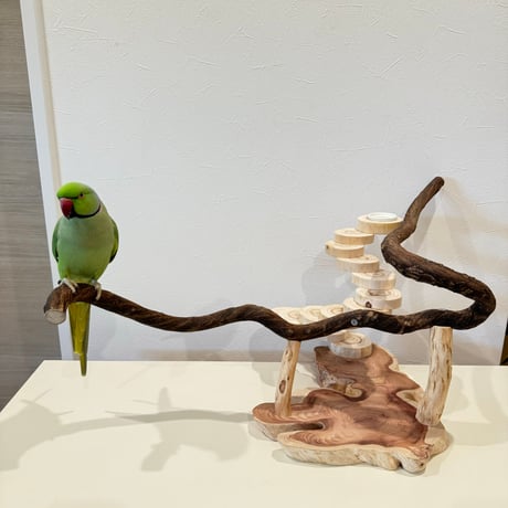 自然木（ツタ）と螺旋階段のバードアスレチック【インコのおもちゃ・自然木のとまり木】