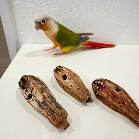 天然素材のおもちゃ ガジガジマホガニー 3個セット【インコのおもちゃ】