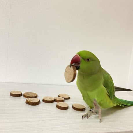 檜木のインコせんべい ガジガジおもちゃ 10〜12枚入り