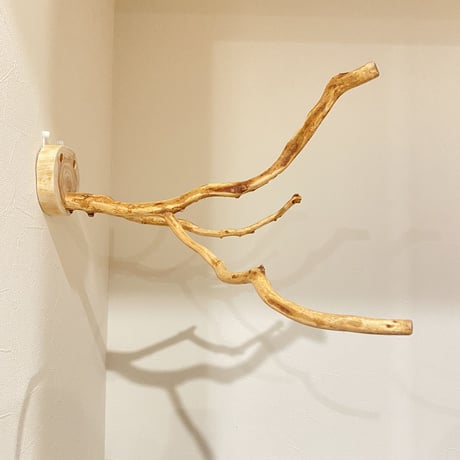 ピノキオの鼻 ⑥