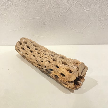カクタスパーチ(R) 直径約5cm/長さ20cm
