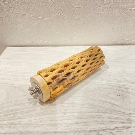 カクタスパーチ【14】直径4~5cm/長さ14cm