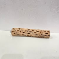 カクタスパーチ⑰ 直径約5cm/長さ24.5cm