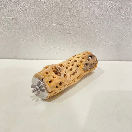 カクタスパーチ(D) 直径約4.5cm/長さ13cm