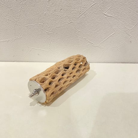 カクタスパーチ(B) 直径約4.5cm/長さ12cm