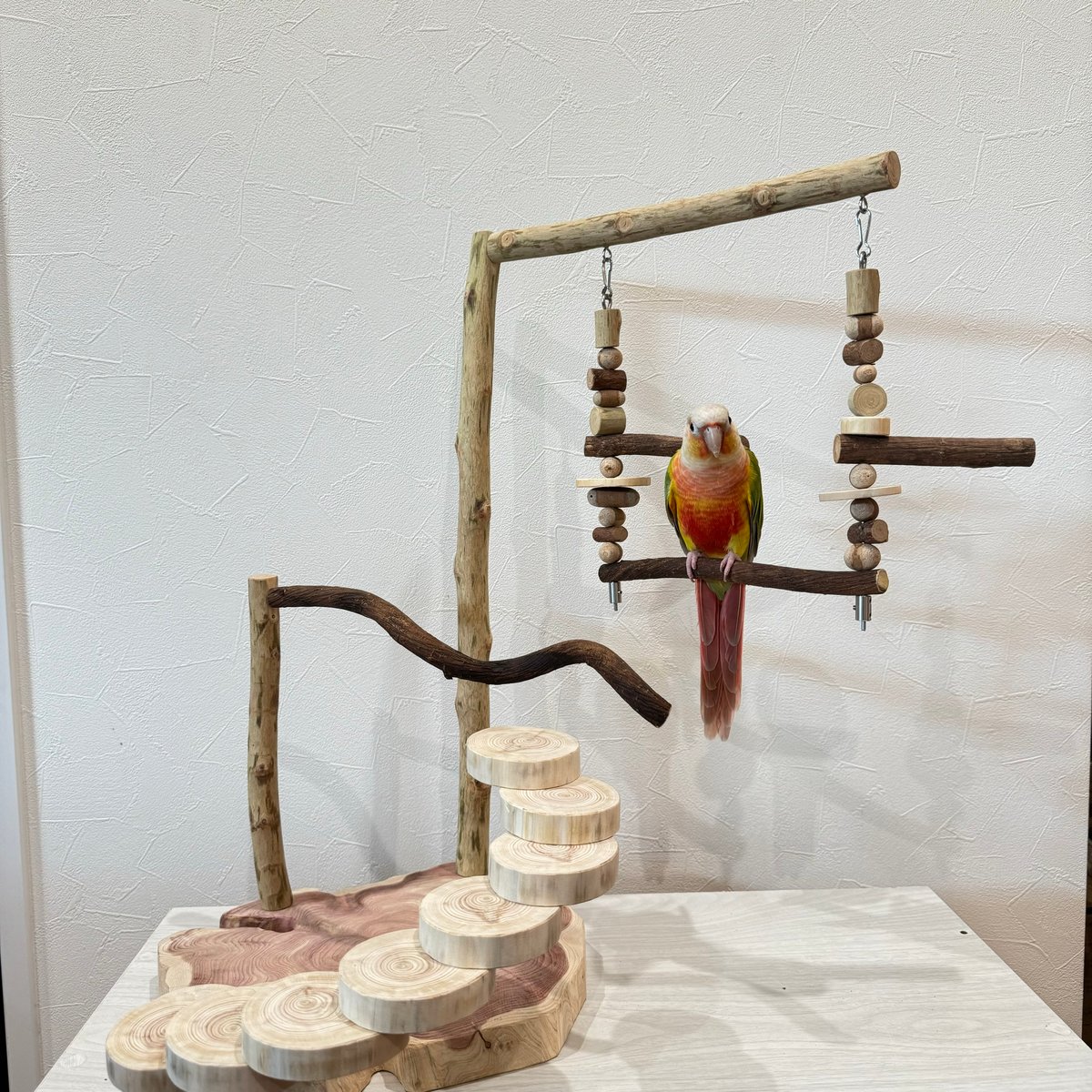 螺旋階段とハイジブランコのバードアスレチック【インコのおもちゃ