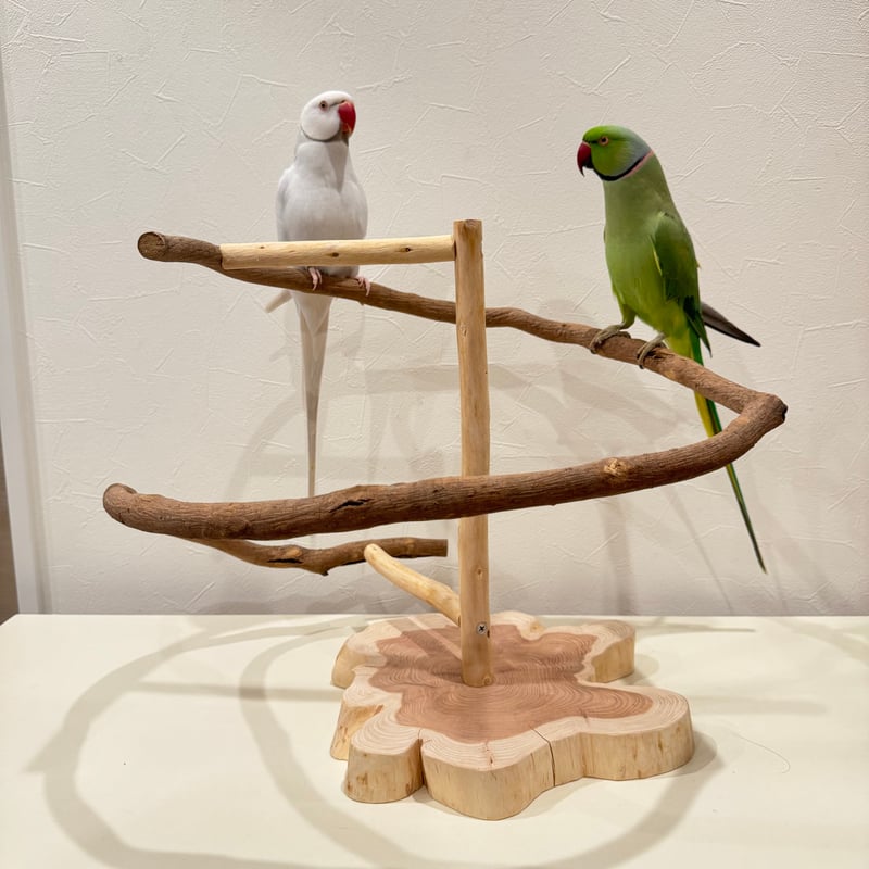 ツタのぐるぐるバードアスレチック 【インコ 天然木 自然木 パーチ