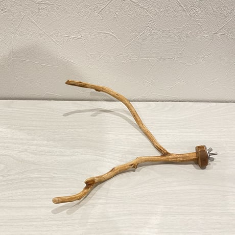 自然木（カイヅカイブキ）のパーチ　直径0.7～1cm／長さ22cm