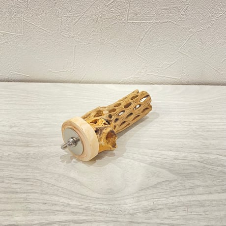 カクタスパーチ小 ① 直径3~4cm 長さ10cm