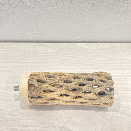 カクタスパーチ④  小　直径4cm前後 長さ10cm