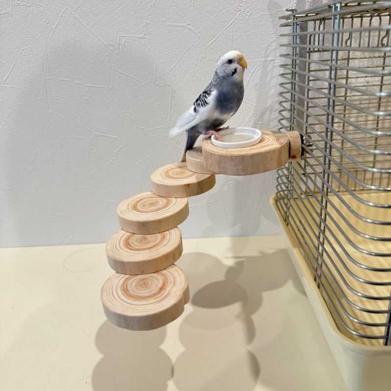 おやつ入れつき螺旋階段（可動式） | 自然木の鳥用品 鳥豆堂