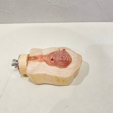 貝塚伊吹テーブルパーチ  ②