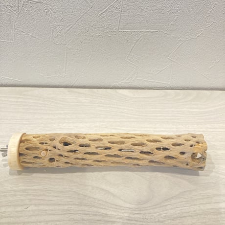 カクタスパーチ12  小　直径4cm前後 長さ20cm