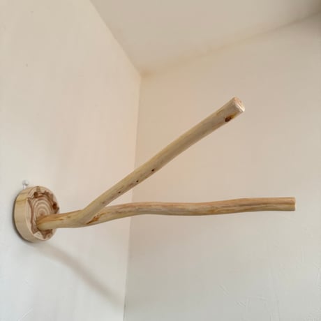 桧のピノキオの鼻②