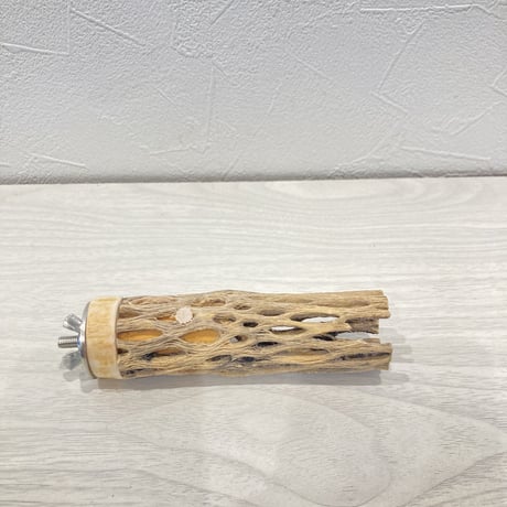 カクタスパーチ極小④ 直径約2~3cm 長さ10cm