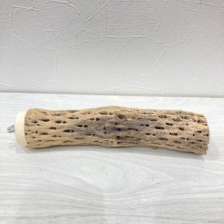 【Y様専用】カクタスパーチ　直径約3~4cm 長さ20cm