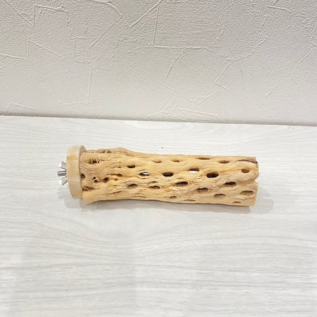 カクタスパーチ④小3-4㎝長さ15㎝