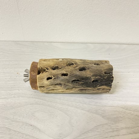 【中型・大型用】カクタスパーチ中⑥　直径5cm／長さ10cm