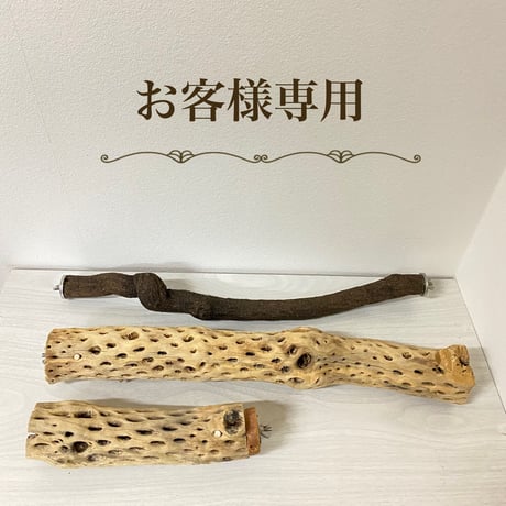 【しんちゃん様専用】カクタスパーチ 中サイズ 直径（約5.5cm）長さ/44cm 20cm