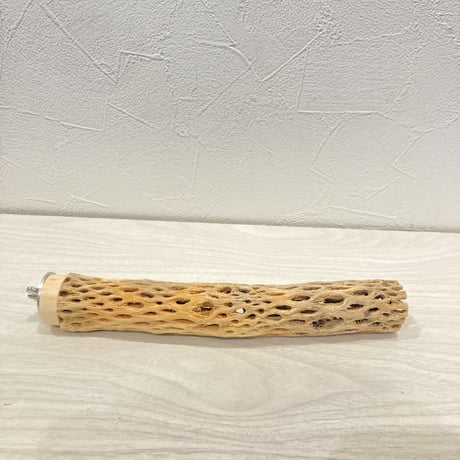 カクタスパーチ極小⑭ 直径約2~3cm 長さ20cm
