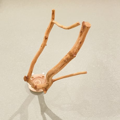 ピノキオの鼻 ⑥