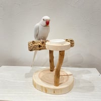おやつ入れ付きカクタススタンドパーチ①