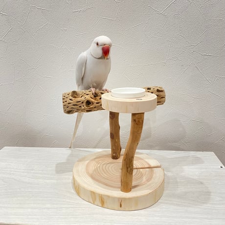 おやつ入れ付きカクタススタンドパーチ①