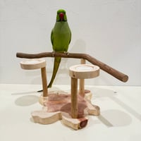 ツタのおやつ入れ付きスタンドパーチ　 【インコ 自然木 止まり木 】
