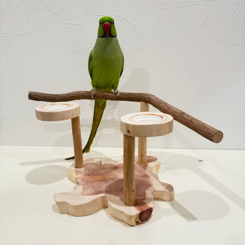 ツタのおやつ入れ付きスタンドパーチ 【インコ 自然木 止まり木
