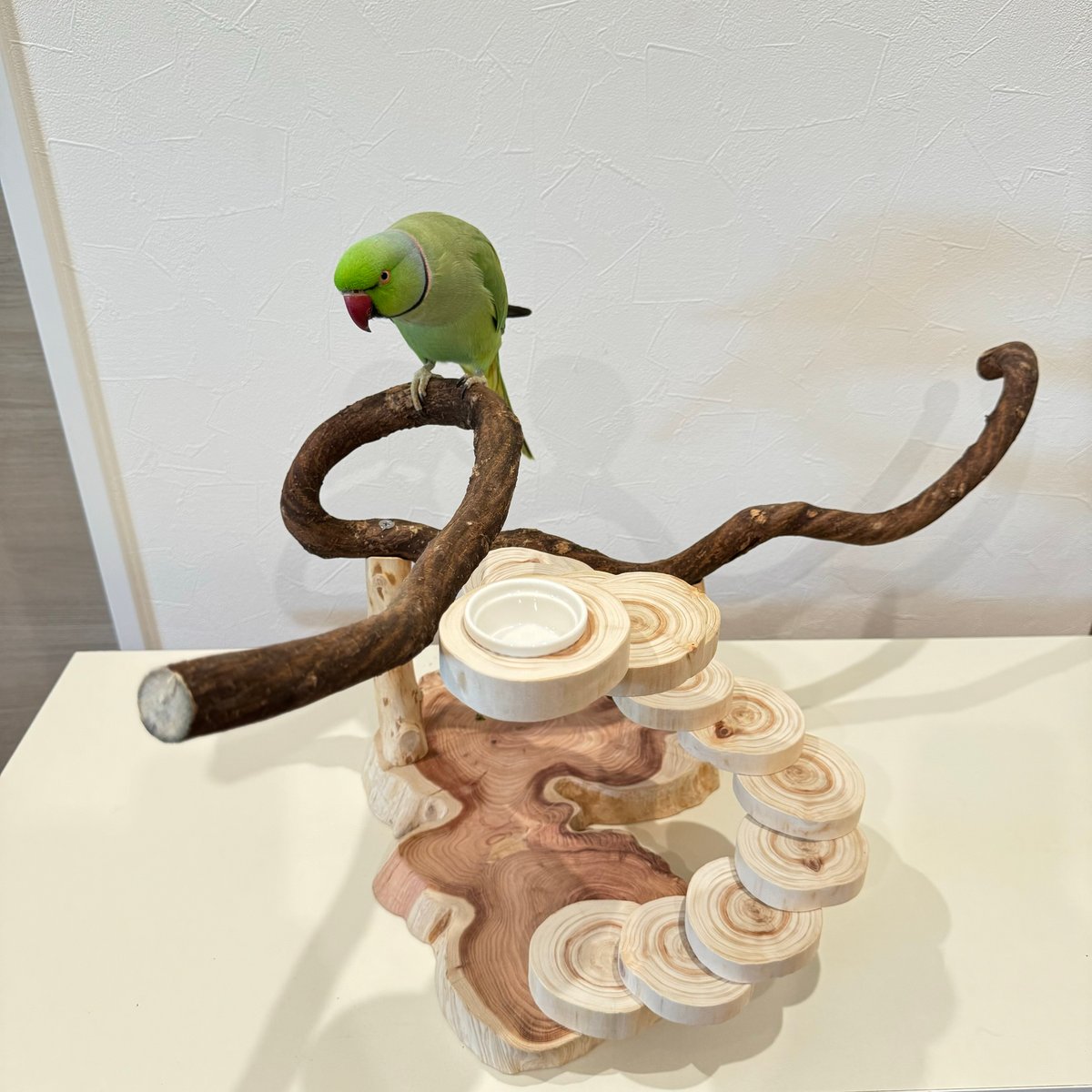 ① ぽこなつページ バードアスレチック ハンドメイド 流木 ① ぽこなつ