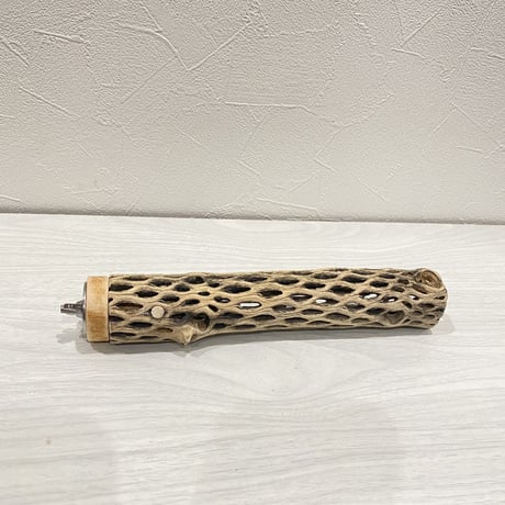 カクタスパーチ⑥ 小サイズ直径3.5〜4cm/20cm