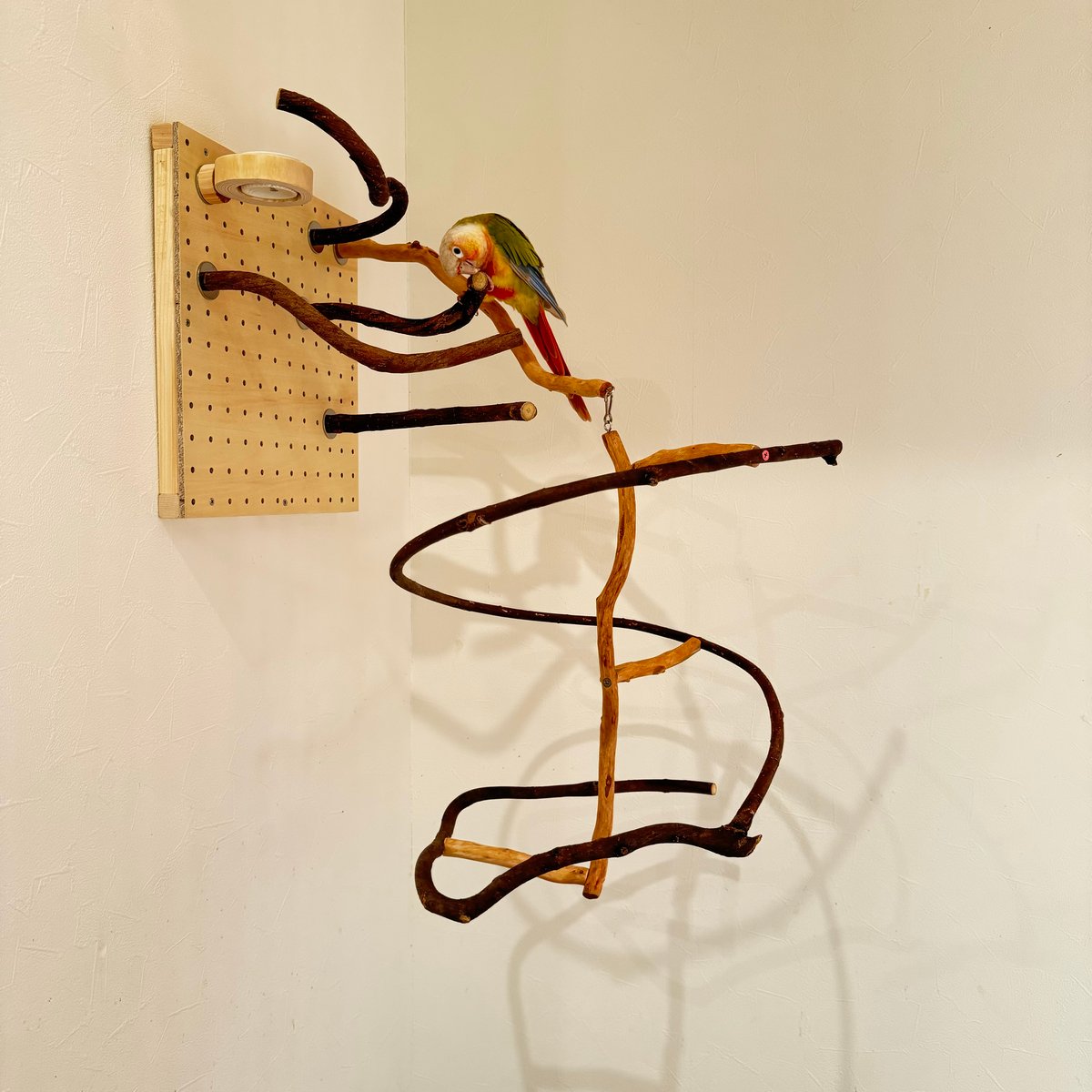 ♡nazu♡　バードアスレチック ♡nazu♡ バードアスレチック ♡nazu♡ バードアスレチック