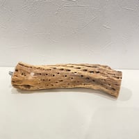 カクタスパーチ(N) 直径約4.5cm/長さ21cm