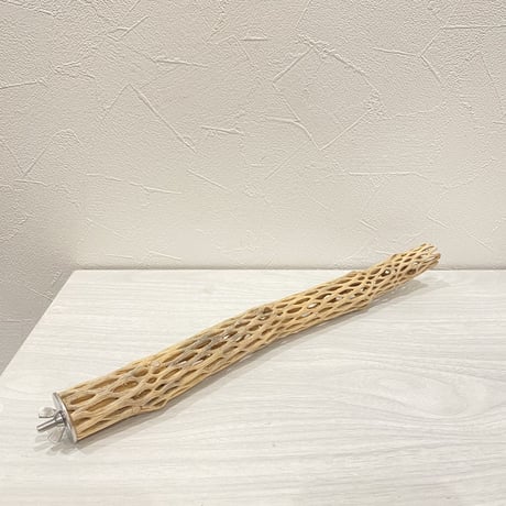 カクタスパーチ②  極小 直径約3cm 長さ34cm