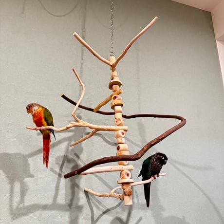 CATEGORY つり下げタイプ | 自然木の鳥用品 鳥豆堂【トリマメドウ