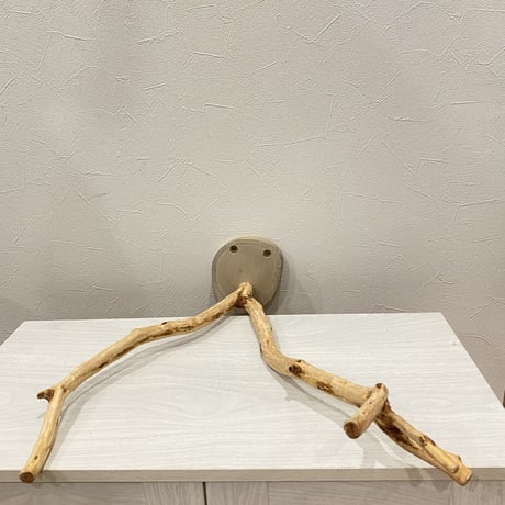 ピノキオの鼻⑥  貝塚伊吹