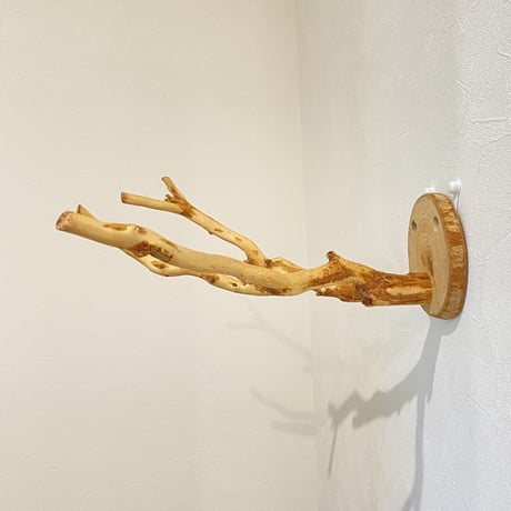 ピノキオの鼻 ③