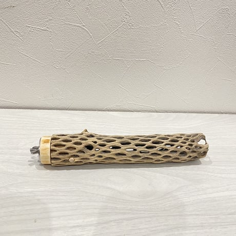 カクタスパーチ⑥ 小サイズ直径3.5〜4cm/20cm